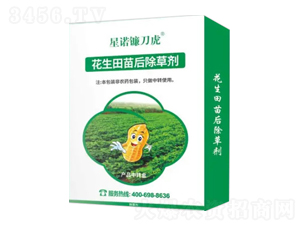 �����������݄�-���Z砵���-�Z�����r�I