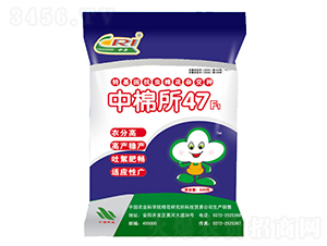 ������47-�޻��N��-���޷N�I