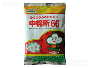 ������66-�޻��N��-���޷N�I