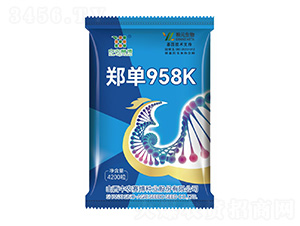 鄭單958K-中農賽博