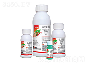 50.9%���x�h(hu��n)�������x�����Ҹ���-���ֺ�-��������