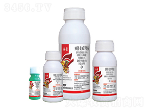 38%�x���桤���x���������Ҹ���-֎��-��������