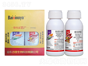 Ӣ�ѽM��-�������� 