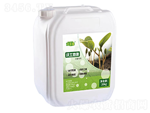 �����ؿ�������ã�-���S¡-������ 