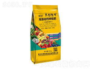 ������}��V��(�����{�턩)-������-�Ą���ţ