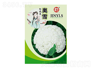 花菜種子-奧雪-邯豐農(nóng)業(yè)