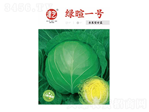 甘藍(lán)種子-綠暄一號(hào)-邯豐農(nóng)業(yè)