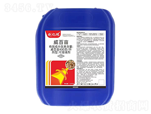 400��/�����ٮ�-���|�z-�ĳǿƄ�