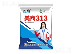 美商313玉米種子-商都種業(yè)