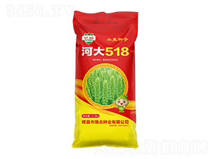 河大518小麥種子-藝株-豫北種業(yè)