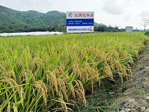 ���Ƀ��Aռ-ˮ���N��-�𽡷N�I