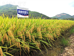 ���マ���-ˮ���N��-�𽡷N�I