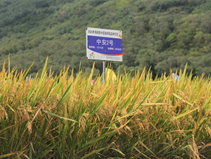 �а�2̖-ˮ���N��-�𽡷N�I