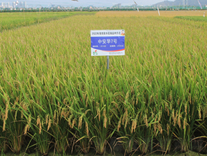 �а�7̖-ˮ���N��-�𽡷N�I