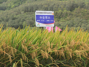 �а���35-ˮ���N��-�𽡷N�I