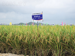 ��ɏ��ռ-ˮ���N��-�𽡷N�I