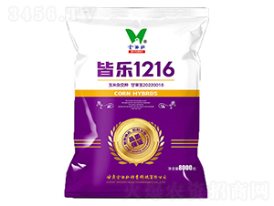 �Ԙ�1216-���׷N��-�������N�I