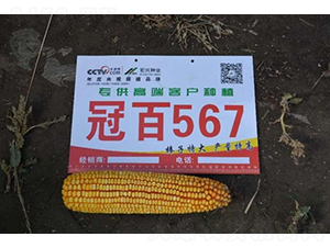 �ڰ�567-���׷N��-���S�N�I