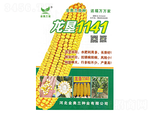 ����1141-���׷N��-���S�N�I