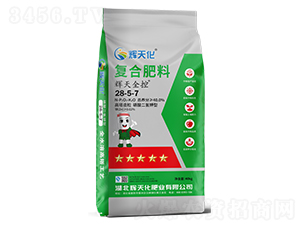 �x��ȫ�؏ͺϷ�28-5-7-�x�컯-�Dؐ