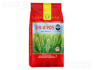 國(guó)審豫農(nóng)905小麥種子-邦邦種業(yè)