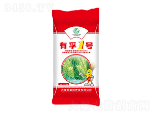 小麥種子-有孚1號(hào)-新盛和種業(yè)