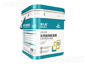 �l�Ŷ�΢�������-�����r�I