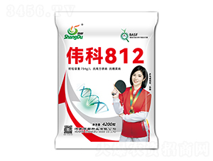 偉科812（玉米種子）-商都種業(yè)